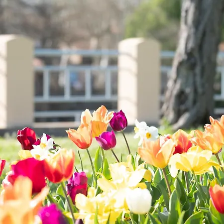 Daire Evasions-derobade, Centre-ville, Gare Auterive (Haute-Garonne)